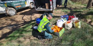 Investigats tres homes per córrer la taronja en una finca de Tortosa