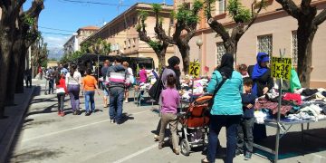 ERC porta al ple de Tortosa la gratuïtat de la zona blava només per als veïns de Ferreries