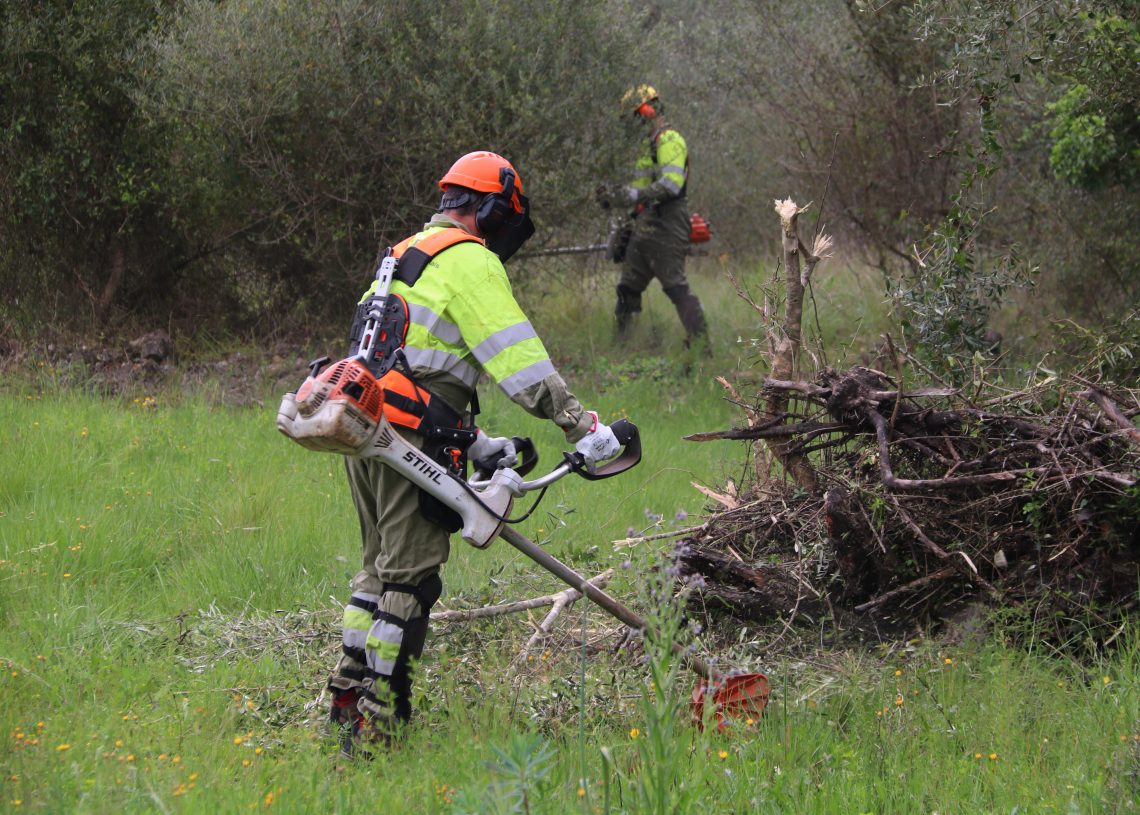 Acció Climàtica prepara els massissos de l’Ebre contra els incendis de sisena generació