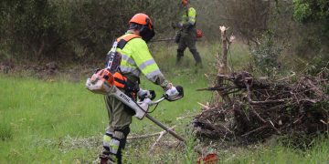 Acció Climàtica prepara els massissos de l’Ebre contra els incendis de sisena generació