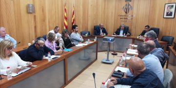 Faura exposa als alcaldes del Baix Ebre la modificació dels estatuts del COPATE