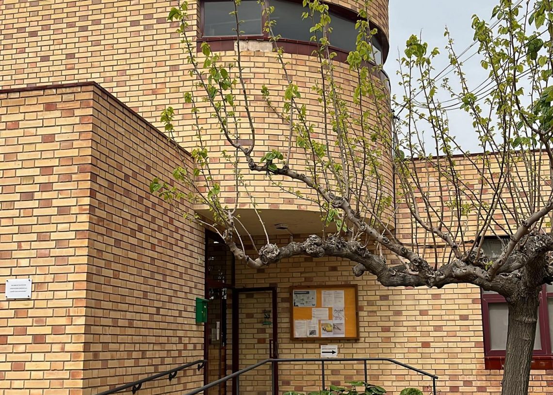 Campredó demana la intervenció del COPATE per l’augment ‘incontrolat’ de mosques