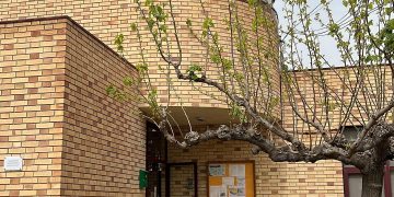 Campredó demana la intervenció del COPATE per l’augment ‘incontrolat’ de mosques