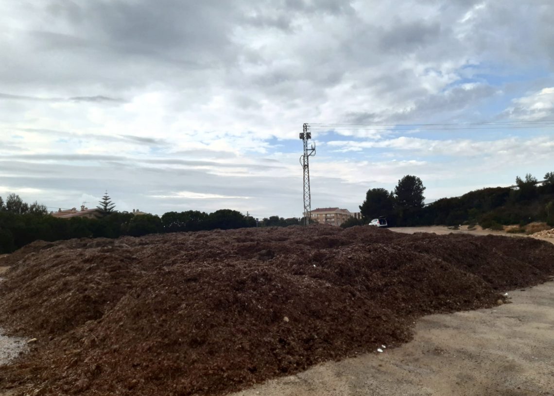 L’Ametlla de Mar ofereix com a adob les restes de posidònia de les platges