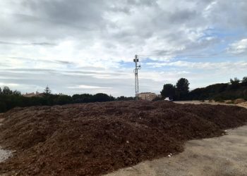 L’Ametlla de Mar ofereix com a adob les restes de posidònia de les platges