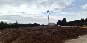 L’Ametlla de Mar ofereix com a adob les restes de posidònia de les platges