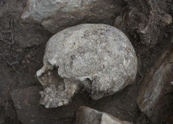 Justícia recupera les restes òssies de set persones mortes durant la Guerra Civil a Corbera d’Ebre