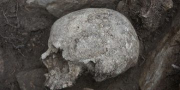 Justícia recupera les restes òssies de set persones mortes durant la Guerra Civil a Corbera d’Ebre