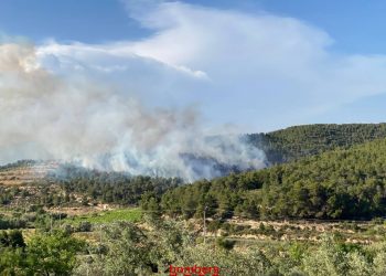 Un incendi agrícola a Vilalba dels Arcs obliga a mobilitzar 24 dotacions dels Bombers