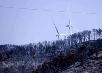 NewsletterMRF #004: La Terra Alta se’ns crema