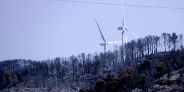 NewsletterMRF #004: La Terra Alta se’ns crema