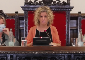 Unanimitat al ple de Tortosa per reclamar la recuperació dels trens Avant amb Barcelona