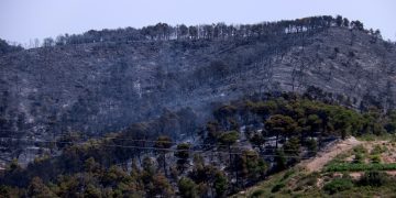 El 90% del perímetre del foc de Corbera d’Ebre està estabilitzat