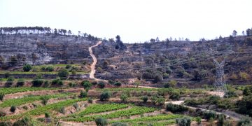 Controlat l’incendi forestal de Corbera d’Ebre