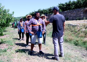 El reconeixement facial revoluciona la collita de cireres a Tivissa