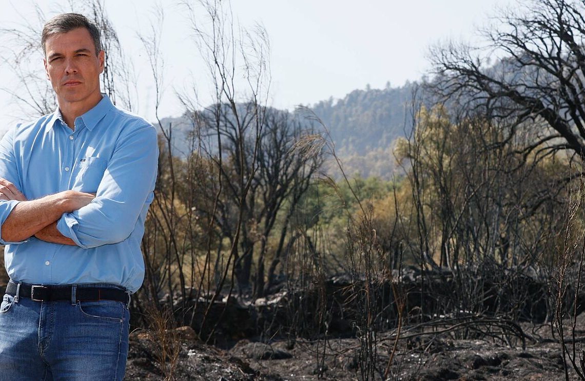 ‘El posat manipulat de Pedro Sánchez’, per Miquel Castelló