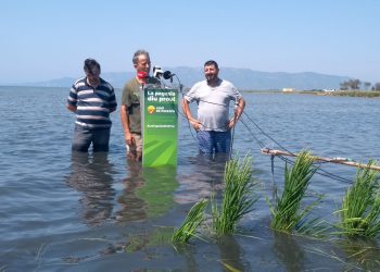 La Unió de Pagesos reclama solucions contundents per salvar el Delta i l’arròs