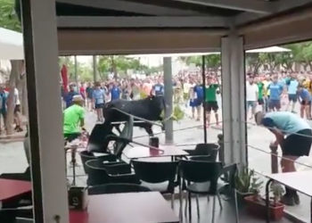 Prou Correbous aprofita l’ensurt amb un capllaçat a la Ràpita per reclamar la prohibició a Catalunya