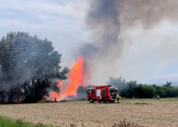 Incendi sospitós en un canyar proper a l’embarcador de Campredó