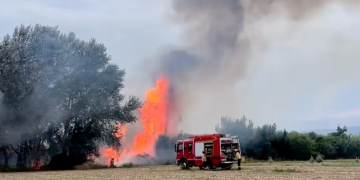 Incendi sospitós en un canyar proper a l’embarcador de Campredó