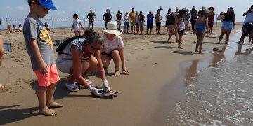Alliberen sis exemplars de tortuga careta al Parc Natural del Delta de l’Ebre