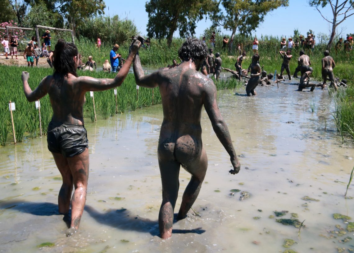 El Deltebre Dansa recupera la improvisació als arrossars per fusionar territori i art