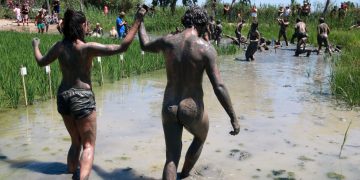 El Deltebre Dansa recupera la improvisació als arrossars per fusionar territori i art