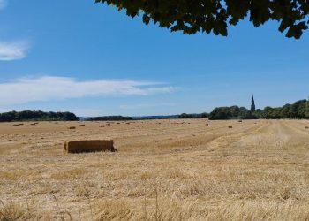 La malenconia d’un estiu llarg i calorós