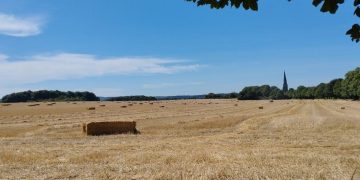 La malenconia d’un estiu llarg i calorós