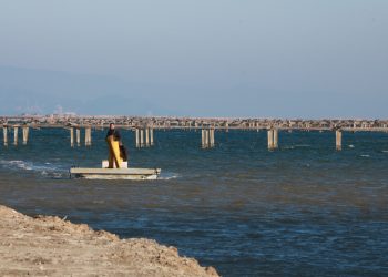 L’elevada temperatura de l’aigua del mar durant sis setmanes mata 150.000 quilos de musclos i la cria al Delta