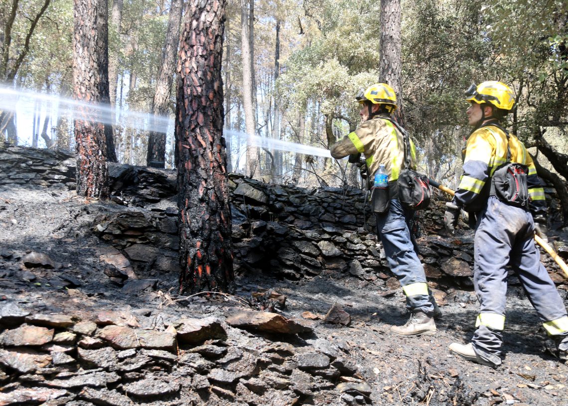 Masses forestals incontrolables sense posar-hi remei