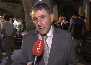 Paladella denuncia que ERC priva les Terres de l’Ebre de 36 milions del fons nuclear