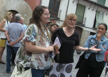 Així va ser la concentració veïnal per la falta de convivència al centre històric de Tortosa