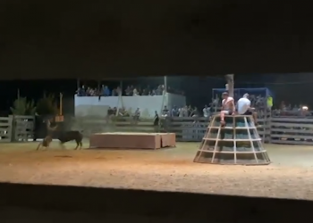 L’ensurt amb un bou a la plaça dels Muntells, nou vídeo de la campanya Prou Correbous
