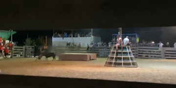 L’ensurt amb un bou a la plaça dels Muntells, nou vídeo de la campanya Prou Correbous
