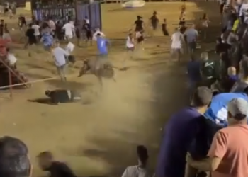 ACTYMA demana sancions pel ‘descontrol’ als bous de les festes de la Ràpita