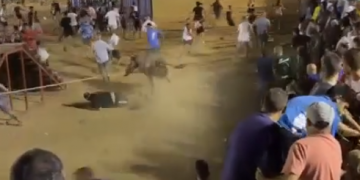 ACTYMA demana sancions pel ‘descontrol’ als bous de les festes de la Ràpita