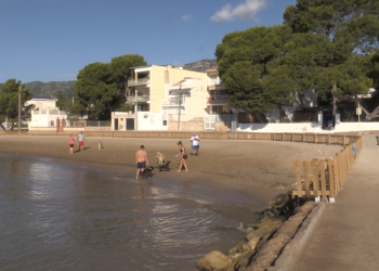 Una plataforma veïnal rebutja la ubicació de la nova platja per a gossos de la Ràpita