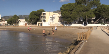 Una plataforma veïnal rebutja la ubicació de la nova platja per a gossos de la Ràpita