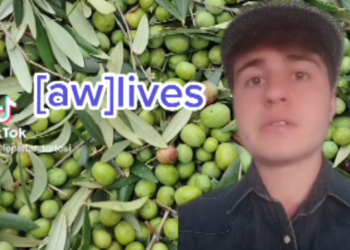 L’èxit de Lo Parlar Tortosí, un espai sobre el dialecte ebrenc a les xarxes socials