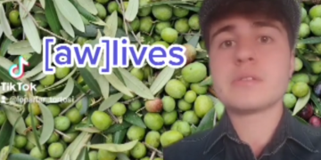 L’èxit de Lo Parlar Tortosí, un espai sobre el dialecte ebrenc a les xarxes socials