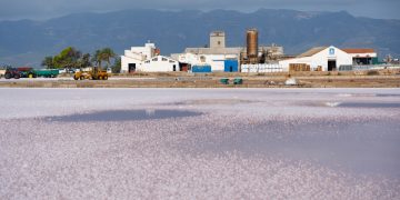 La collita de sal del Delta baixarà un 25% pels últims temporals a la Punta de la Banya