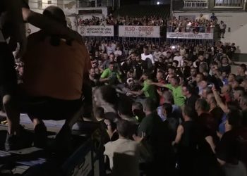 Els bous de les festes d’Amposta, des de dins