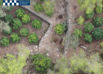 La Policia Local Tortosa desmantella una plantació de marihuana a Sant Llàtzer