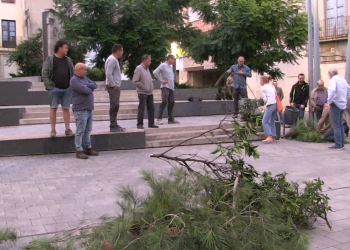 Pagesos aboquen rames davant de l’edifici de la Generalitat, contra la nova llei de residus