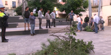 Pagesos aboquen rames davant de l’edifici de la Generalitat, contra la nova llei de residus