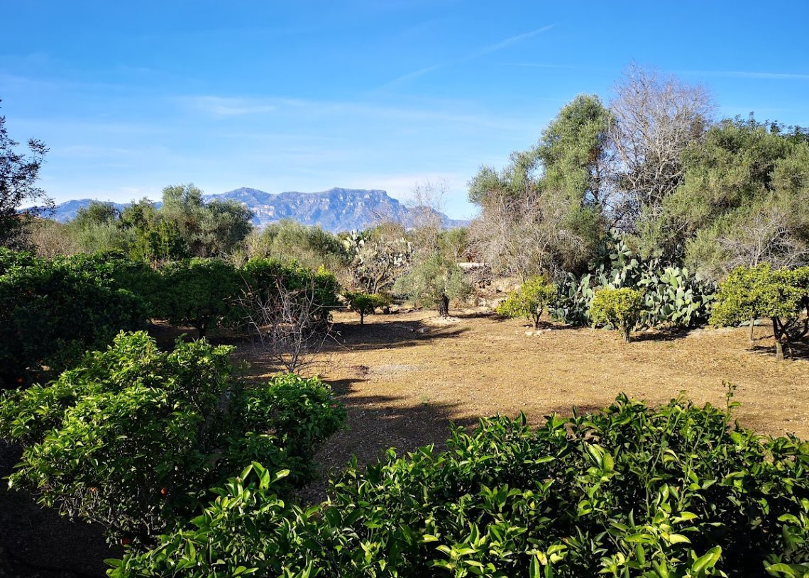 Junts per l’Ebre insta Esquerra a aprovar el reglament per facilitar la crema de rama