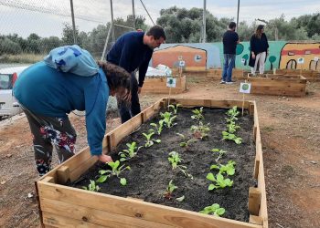 Un projecte sobre la salut mental uneix malalts i alumnes d’Alcanar en la rehabilitació d’un pati d’escola