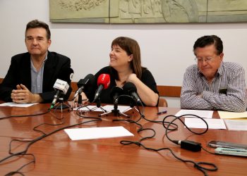 Exigeixen els ajuts que preveu la llei de les oliveres monumentals per a pagesos i propietaris