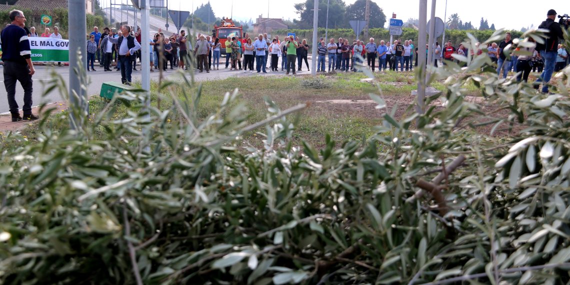 Així ha sigut la manifestació amb tractors de la Unió de Pagesos a Tortosa, contra la prohibició de cremar restes vegetals